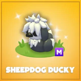 Mega Sheepdog Ducky