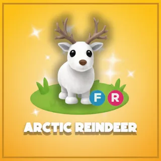 Arctic Reindeer FR
