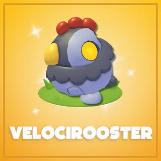 velocirooster