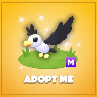 Adopt Me