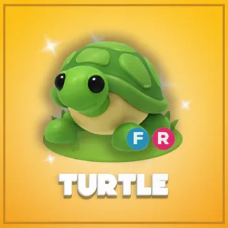 Turtle FR