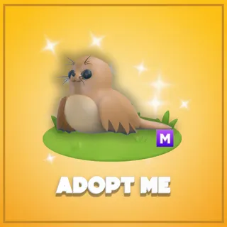 Adopt Me