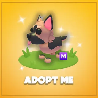 Adopt Me