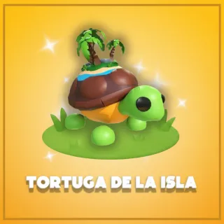 Tortuga de la Isla 
