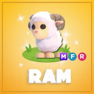 Mega Ram FR