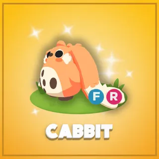 Cabbit FR
