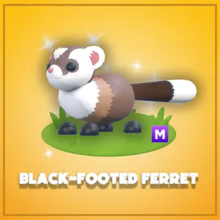 Mega Black-Footed Ferret