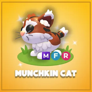 MFR Munchkin Cat