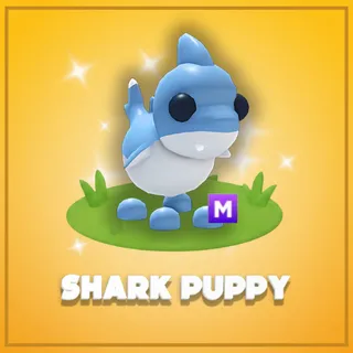 Mega Shark Puppy