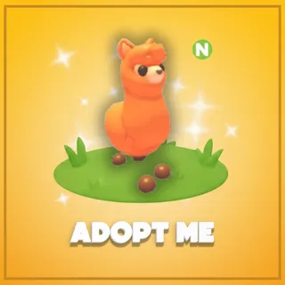 Adopt Me