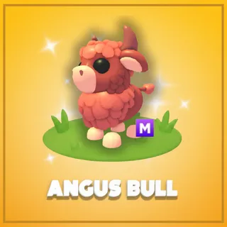 Mega Angus Bull