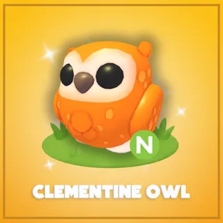 Neon Clementine Owl
