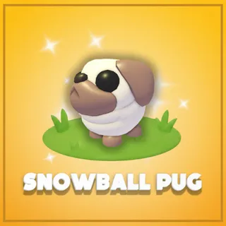 Snowball Pug