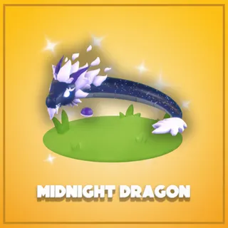 Midnight Dragon