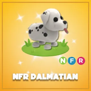 NFR Dalmatian