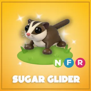 Neon Sugar Glider