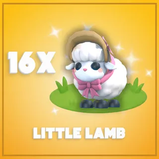 16x Little Lamb