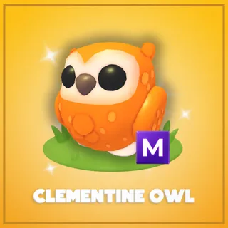Mega Clementine Owl