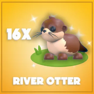 16x River Otter