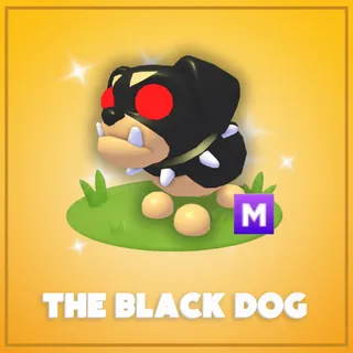 Mega The Black Dog