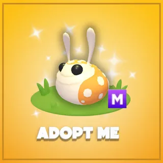 Adopt Me