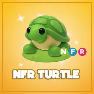 NFR Turtle