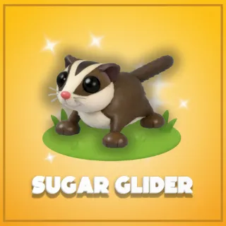 Sugar Glider