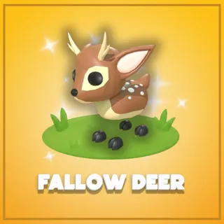 Fallow Deer