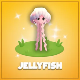 Jellyfish