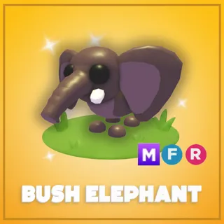 Mega Bush Elephant