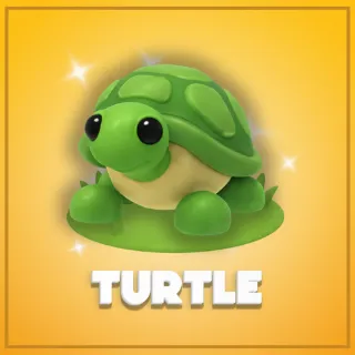 Turtle