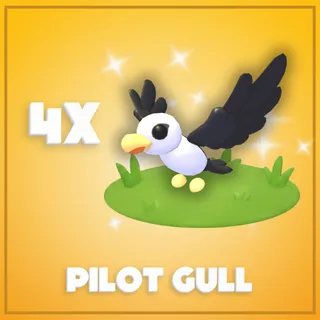 4x Pilot Gull