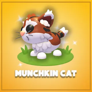 Munchkin Cat