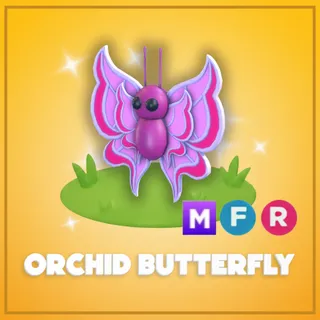 Mega Orchid Butterfly 