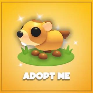 Adopt Me