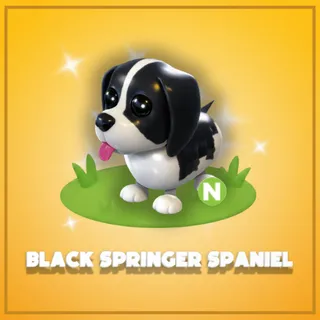 Neon Black Springer Spaniel