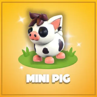 Mini Pig