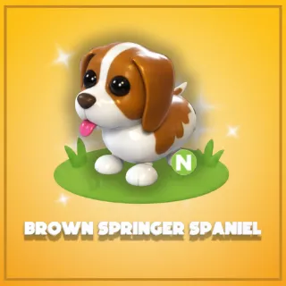 Neon Brown Springer Spaniel