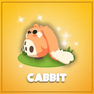 Cabbit