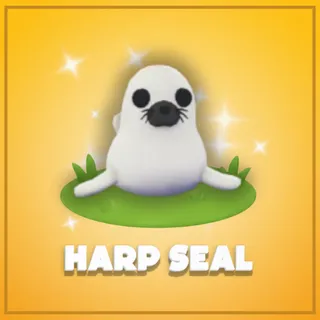 Harp Seal