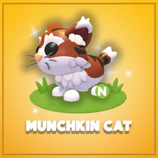 Neon Munchkin Cat