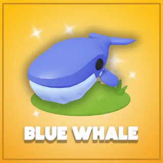 Blue Whale