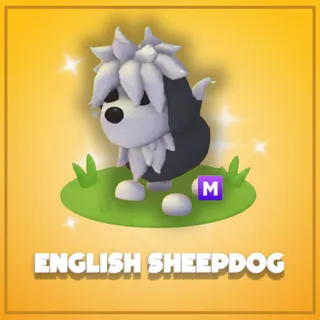 Mega English Sheepdog