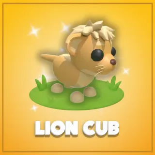Lion Cub