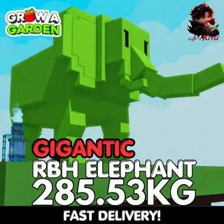 GIGANTIC Rainbow Hatched Elephant 285.53KG | RBH | Age 500 ⚡INSTANT DELIVERY⚡
