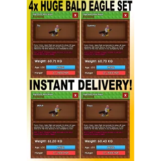 4x Huge Nightmare Bald Eagle Set