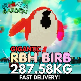 GIGANTIC RAINBOW HATCHED BIRB 287.58KG | Huge | Age 500⚡INSTANT DELIVERY⚡