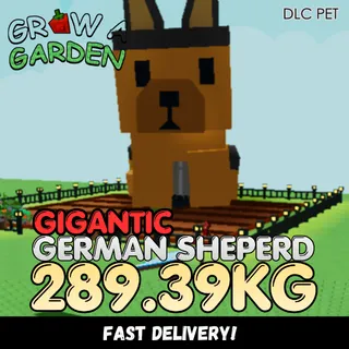 GIGANTIC German Sheperd 289.39KG | Huge | Age 500 ⚡INSTANT DELIVERY⚡