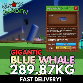 HUGE GIGANTIC Blue Whale 289.87KG | DLC | Rare Size ⚡INSTANT DELIVERY⚡