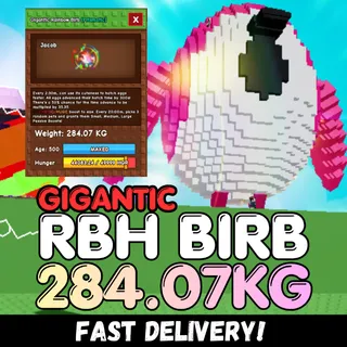 Huge GIGANTIC Rainbow Hatched Birb 284.07KG | RBH Birb | Age 500⚡INSTANT DELIVERY⚡